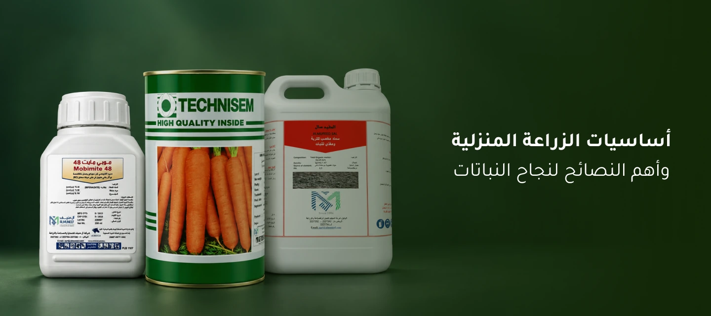 أساسيات الزراعة المنزلية