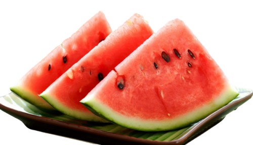 524033641521800465-removebg-preview