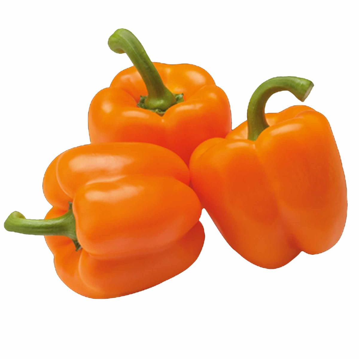فلفل-حل-برتقالی